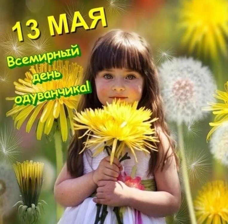 img (4)